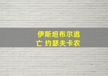 伊斯坦布尔逃亡 约瑟夫卡农